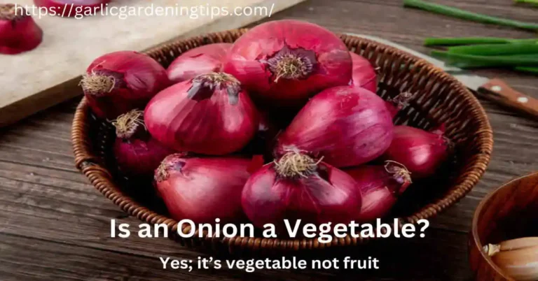 Onions are vegetables not fruit