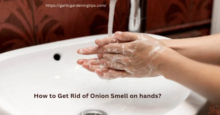 Removing onion smell from hands( Washing hands)