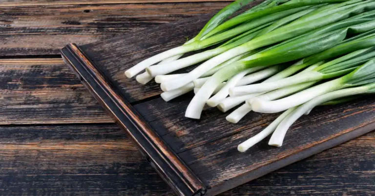 Grow Garlic Chives in your garden