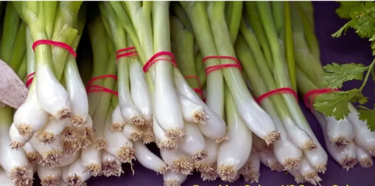 Bunching onions vs green onions